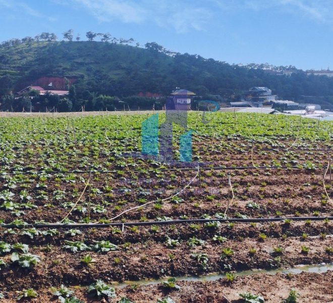 2c6cd123a100615e3811