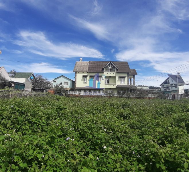 z3861831987705_3eb66f78d0f1760691a56b803902f0de