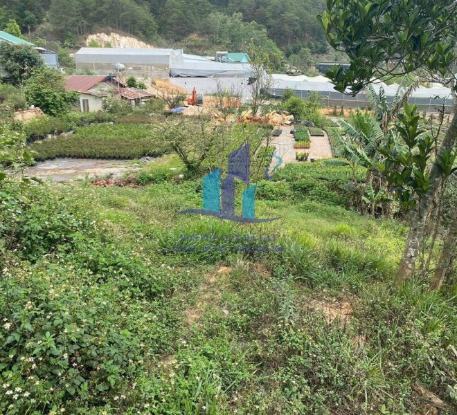 z3956715942701_e64aaf4731e7e73cad0a7619154c7824