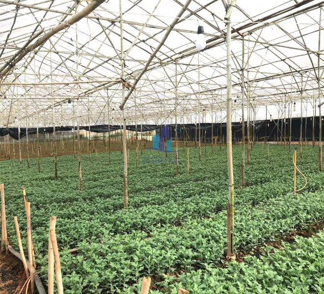 z4111774909765_17e9d4c48cd337e7334de532032c637c