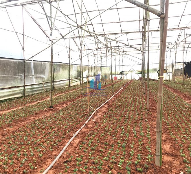 z4111775146346_f1868866bfa46a12636ed7537babb570