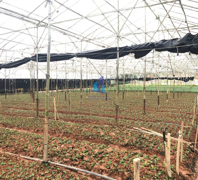 z4111775305848_74835bd236f5efdbcfb9cd9366fa718d