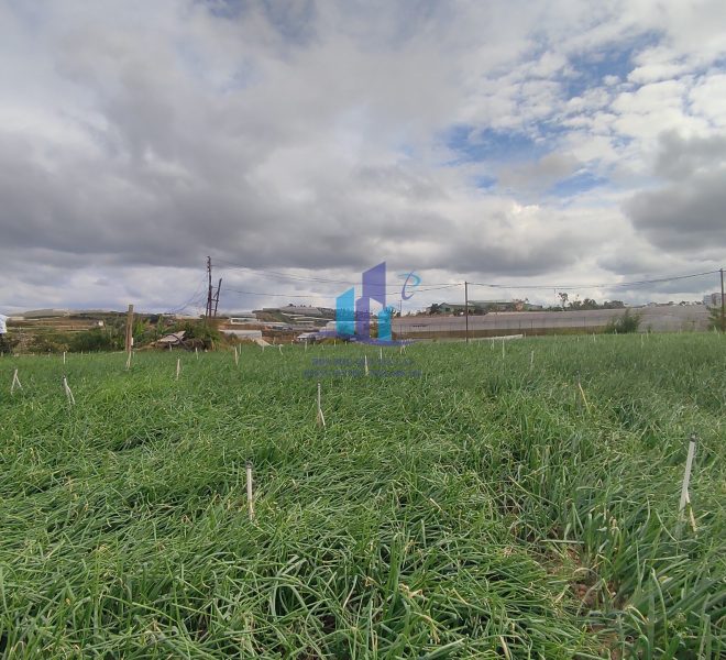 z4117022031088_a4c4885ce006769dbf9a8e3ff5fdeda4