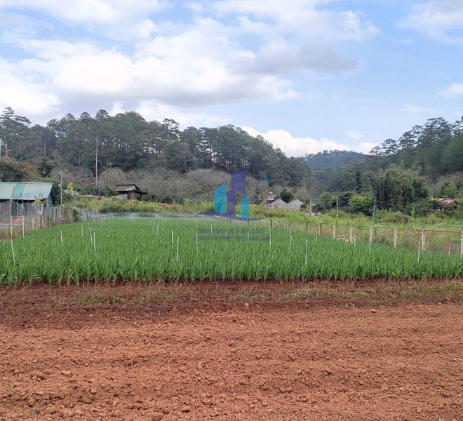 z4126872499134_a9714df12580e2b880194a52c5abd293