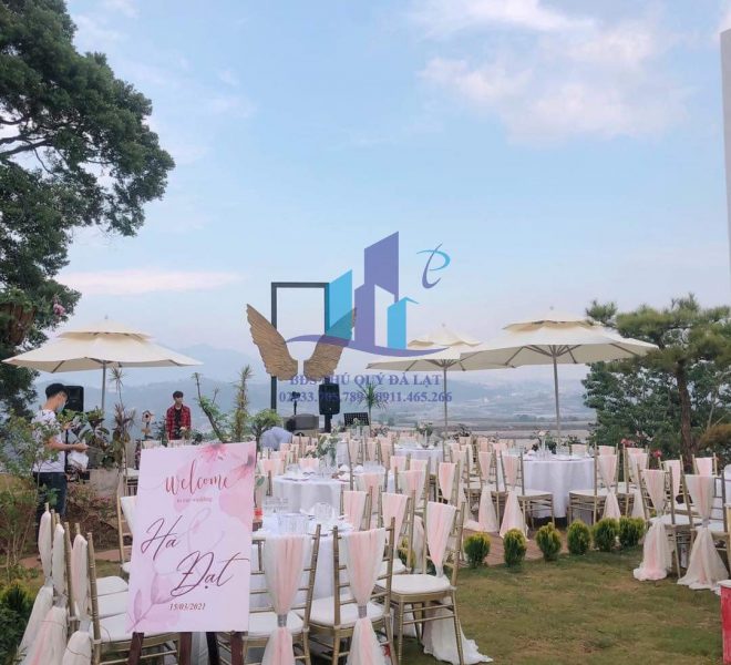 z4129582696565_cbc6e73183441f7128703ab43ce8e17c