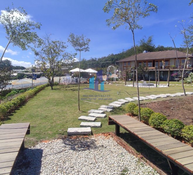 z4129582875836_2674da1907d82226cf8326bc975b8ef2