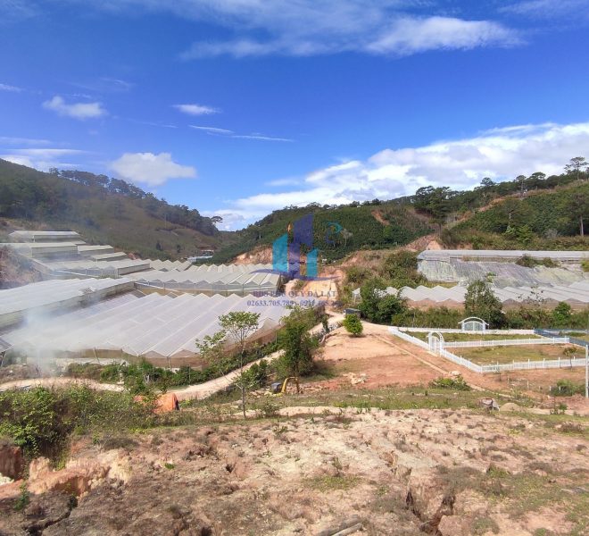 z4144746417448_2486470404b78b03e88e33c70b6750bc