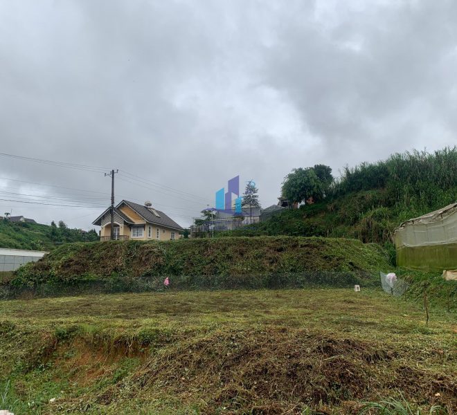 z4160296970201_c9cedac2af85e7e985cc7a23d31a8835