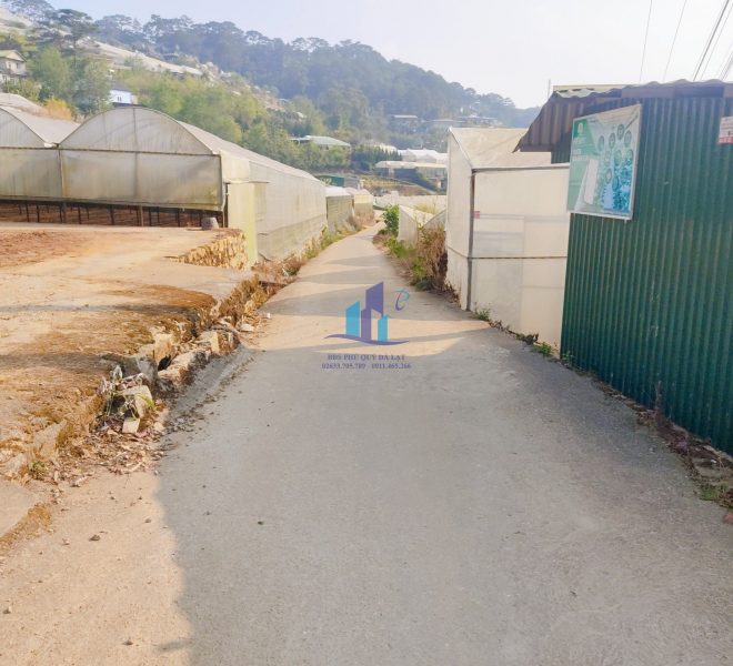 z4171538447257_ef14c8abdff49a0515099d0ce991102a