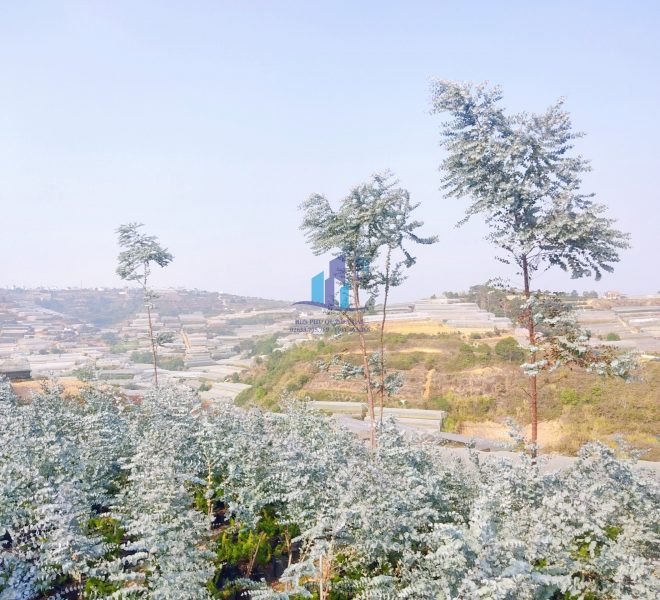 z4173918186140_43b0e9707cef8cbd3b9b03704bce0588