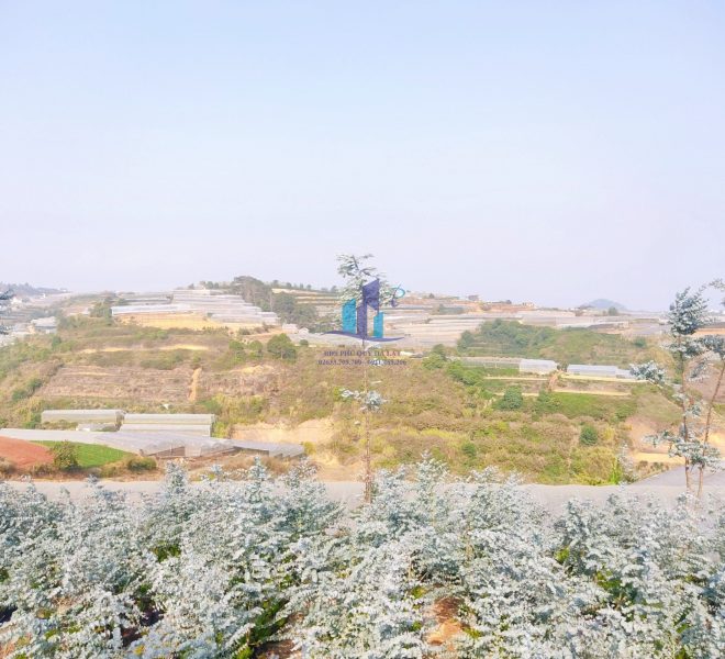 z4173918285061_56556db9e50827b2a66b4ee279ec355d