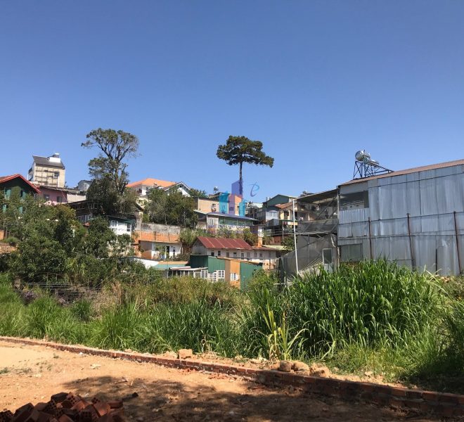 z4181526816649_5277f3496cc1e82f94c8f71b6c7508b0