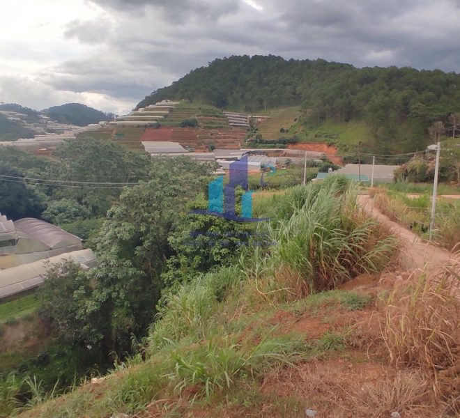 z4187137555533_c5704da1bf4b4ed00623e7ac23c79a09