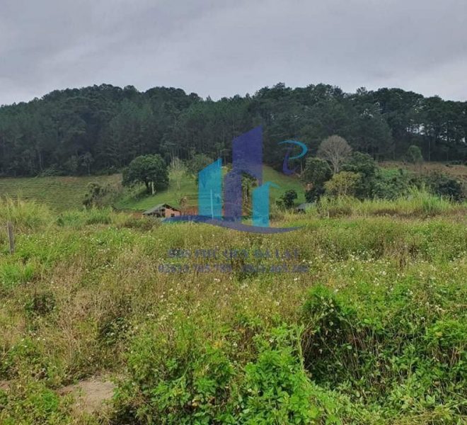 z4200101984935_897b8bd410c05c332ff818403a1f5883