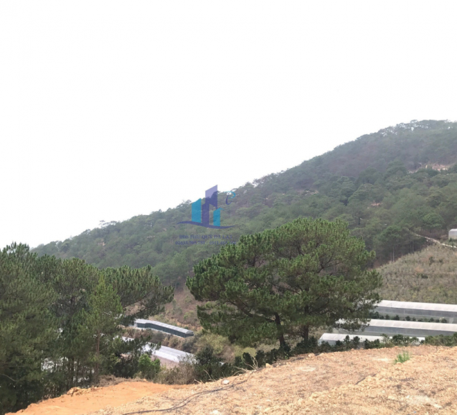 screenshot_1682145447