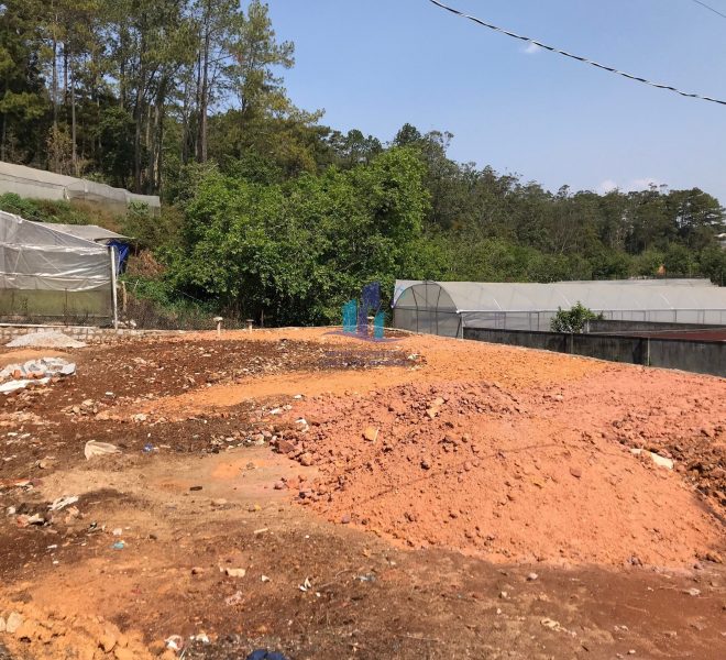 z4224102036973_9238f6b05a1a6f7222f09cf193bc6a71