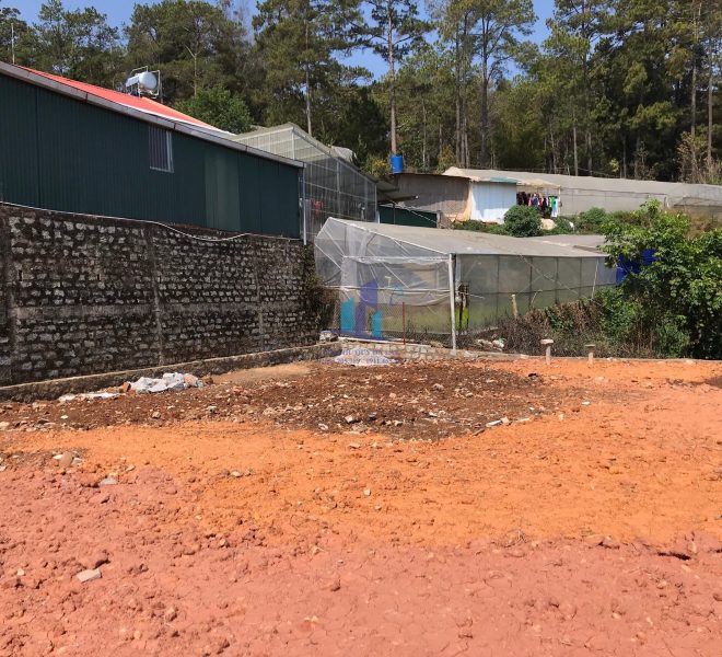 z4224102200586_9474625a94181f170b5c5c9e2b948d9f