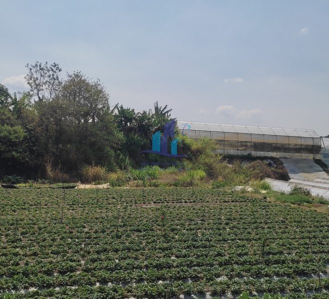 z4224145075761_a744980b83a61e7362f4d9ae6aa19f2f