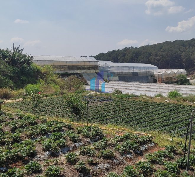 z4224145216670_89933bd03662f0915279cedab9effc5f