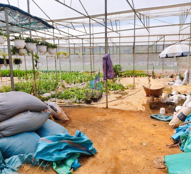 z4229495940051_0aa3f33d6cbd81694bd5b1bd31b02b3f