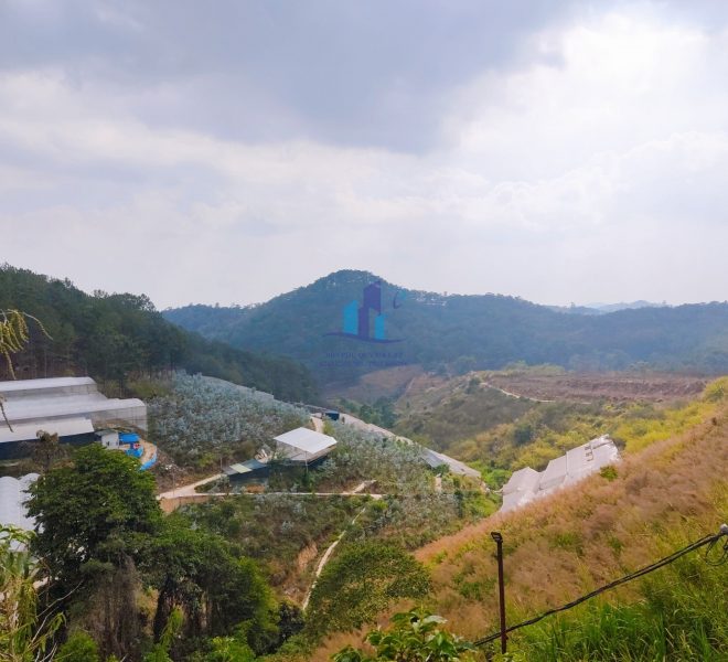 z4237273167423_3fab64919c8b52382138003488fbbaf5