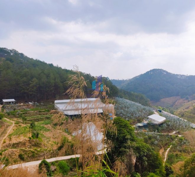 z4237273331615_57d475a19712c9b9493c836a678b0c90