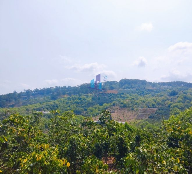 z4248198126945_96ca3daf01c97696a40ad75c1c630ca0