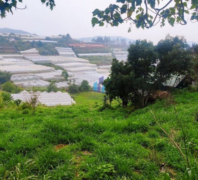 z4264478649824_2c333ecf74f49f4d741387b1a2b40a67