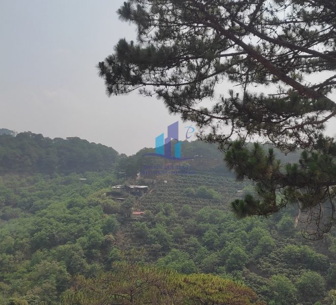 z4264538532255_99d0eed1ac9f3a384704354e51bec6f0