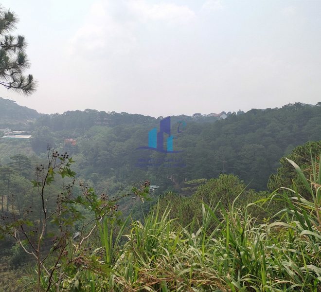 z4264538607928_ee3cd2b5d27af75700539fb4d526167b