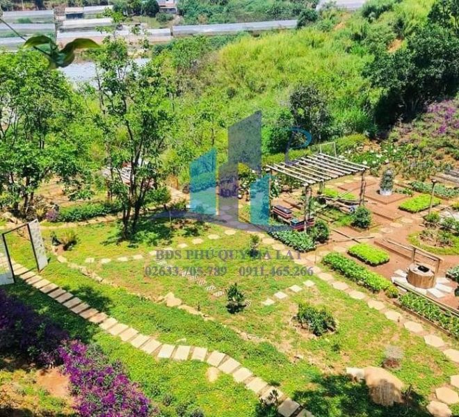 z4264543477098_6927c8c23b33ed776e3906a268a61dc2