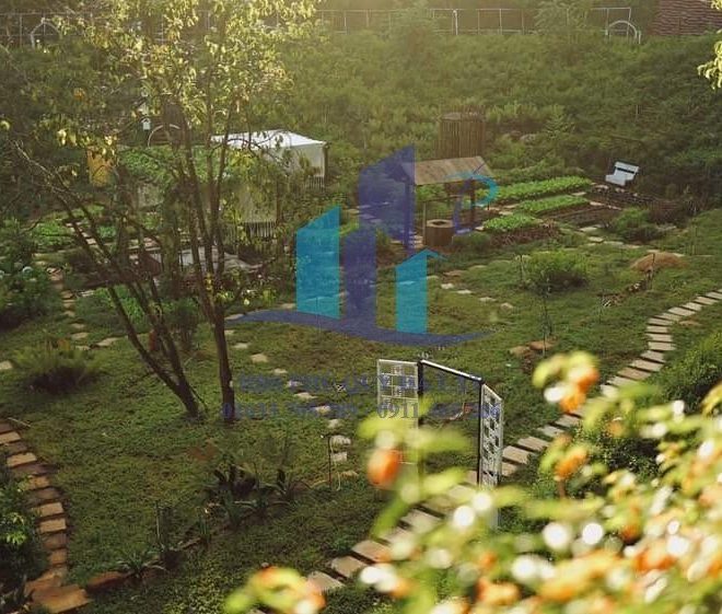 z4264543506452_08f993571c54e43c267ac8b109ea3d5e