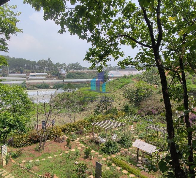 z4264543544464_ae09a96b6f674af9a7b9ef1b68119547