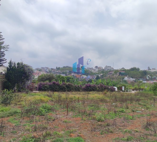 z4272155118554_5db064b288263e700112a2eb9a38c4c3