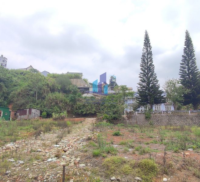 z4272155122224_3c84dac373ec4bd63375e2edc6b81dea