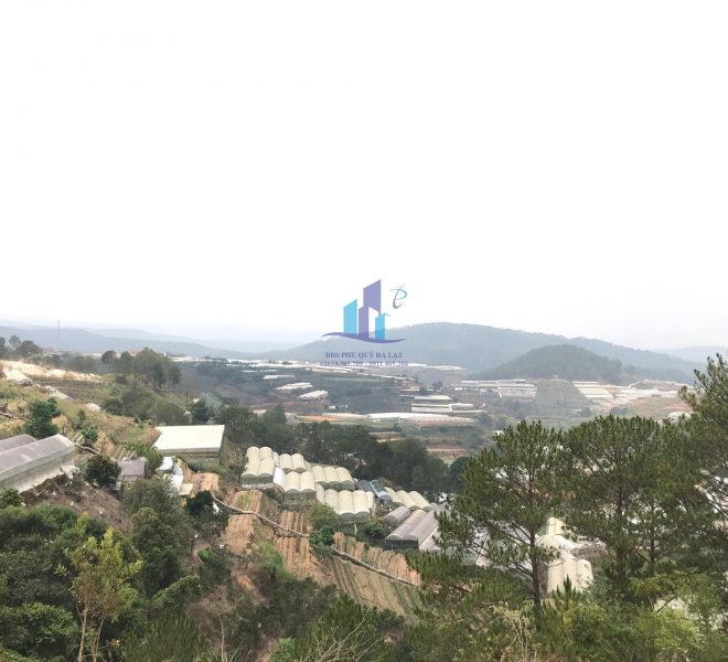 z4272180788994_08a7d3a095295ee2027d28206c62b8f8