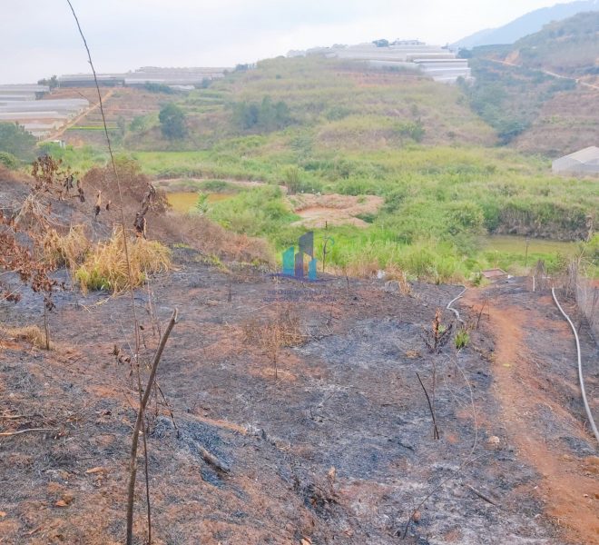 z4275104306918_8907deb48e88a238d25a883326cd4278