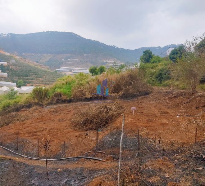 z4275104447021_963e0c4563d8a059e33678afbb4871a1