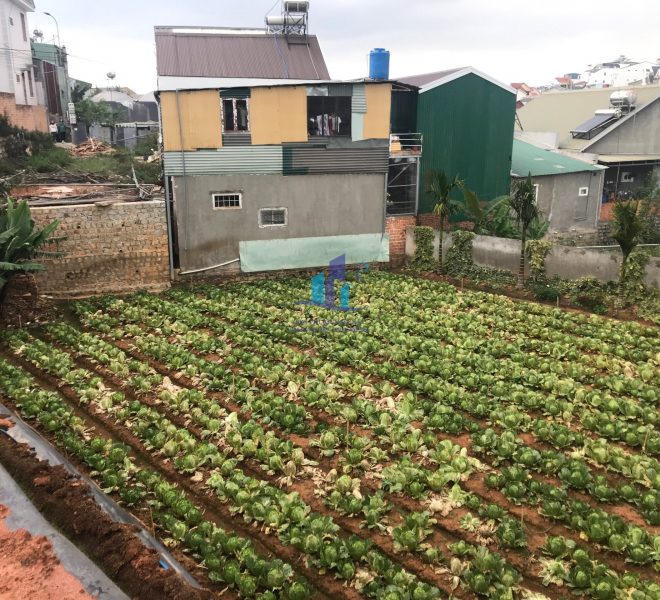 z4286377729672_b3020027f5f7f7ba786c2b48c3746d92