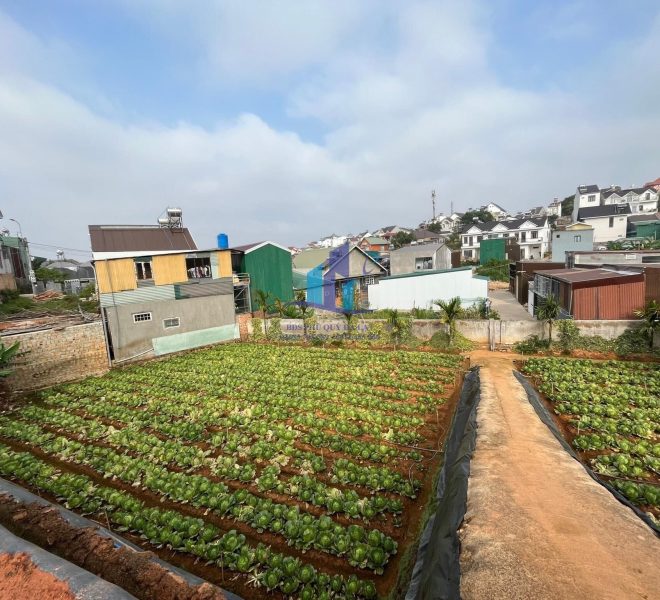 z4286377767628_022264f38caf8cbb5016933eabdd1ec2