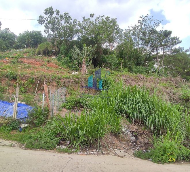 z4316745460813_2f087454ed0d7eb726b379eca2fcf8db