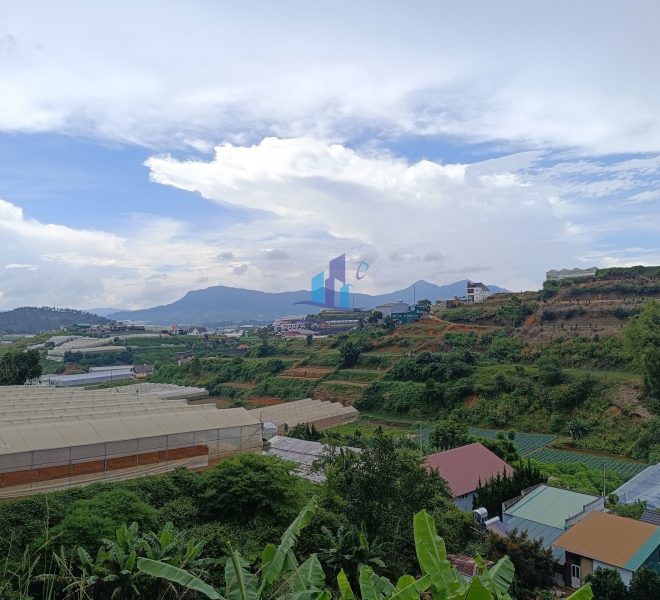 z4401315588744_d03658d8fea52012108c56b8798eea7c