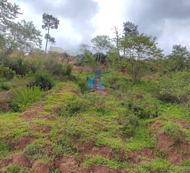 z4406634566597_778cb4cdf225c838ae93e9f9aba38328