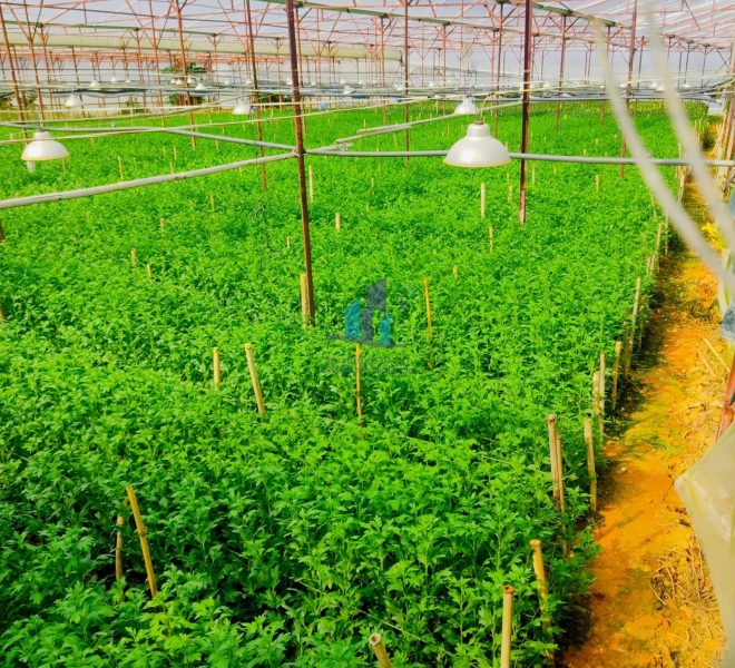 z4448539581274_e5c79863a19b982687a567de19800e41