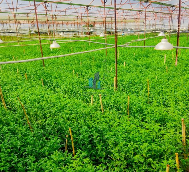 z4448539591918_3e3b0ead01ac304e5a8a675f530d6673