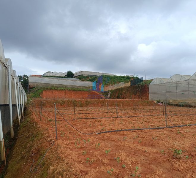 z4476663443690_9d07790f1390cc01e650e8b2fd9eb940