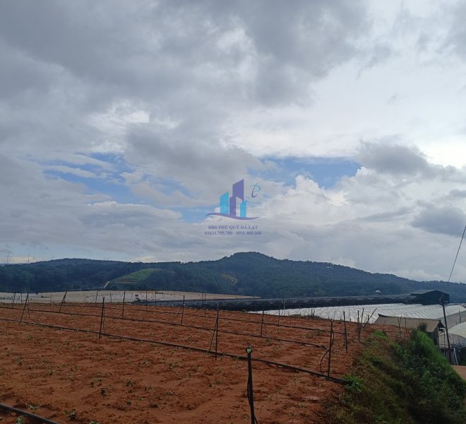 z4476663468640_e4702f8ced5e2ead42df4d401e051ee0