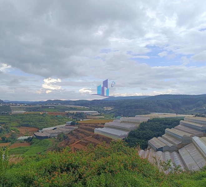 z4476675195320_c2a4c24b7eaecaaf454416a8ff16743a