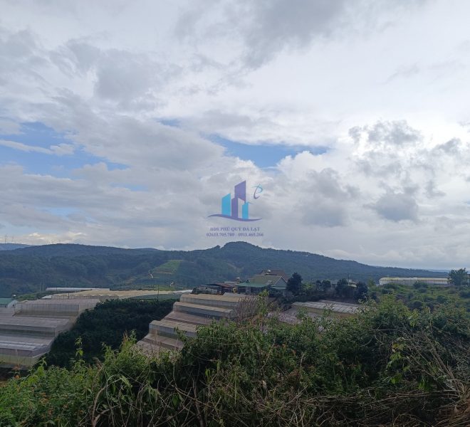 z4476675296754_9adfa74a656a9f29adf37787a4a247d2