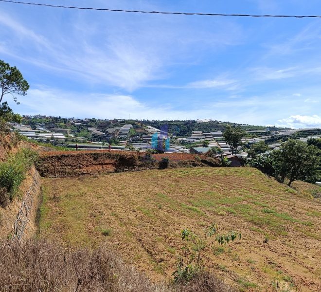 z4493410318707_66d2c03f40c7c5de709fd866897f7c26